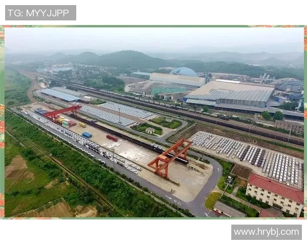 武汉排球队快攻革新之路：战术变革与未来展望